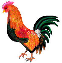 rooster.gif (11960 bytes)